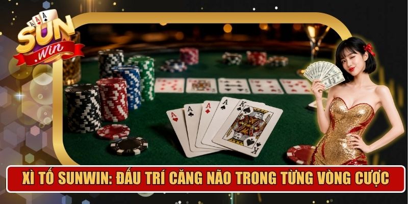 xì tố
